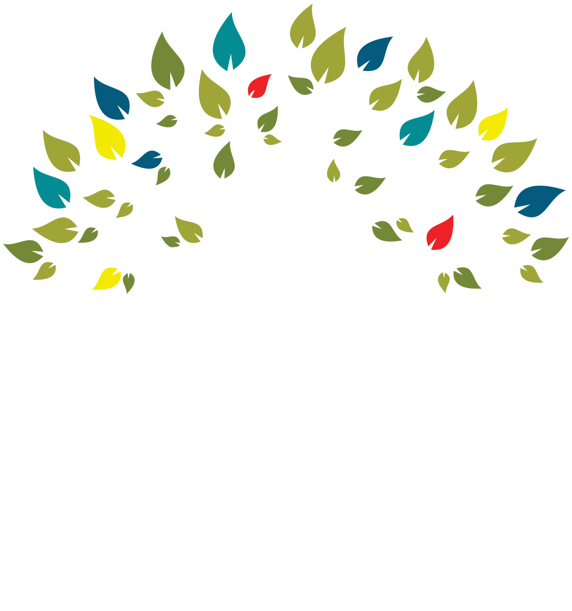 Guide to Wellness Guide to Wellness